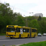 Linia nr 2 i 12 w Słupsku: komunikacyjne bolączki Siemianic