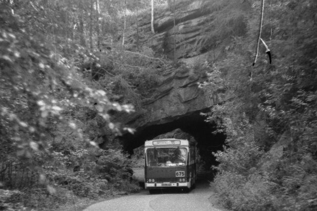 Jelcz M11 #675| Miejski Zakład Komunikacyjny Sp. z o. o. w Jeleniej Górze| Data: 15 sierpnia 1994| Miejsce: Piechowice, ul. Sudecka| Autor: Marcin Stiasny