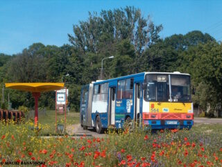 Ikarus 280.26 #564| Komunikacja Miejska - Płock sp. z o.o.| Data: 13 czerwca 2006| Miejsce: Płock, pętla "Borowiczki"| Autor: Maciej Banasiński|