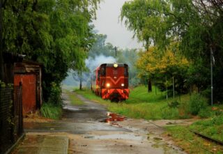 Lxd2-344 | Biuro Utrzymania i Eksploatacji Gnieźnieńskiej Kolei Wąskotorowej | Data: 30.08.2025 | Miejsce: Gniezno (okolice ulicy Wesołej) | Autor zdjęcia: Paweł Pieńkowski |