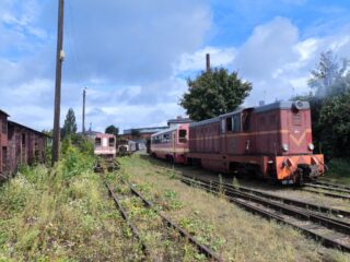 Lxd2-344 | Biuro Utrzymania i Eksploatacji Gnieźnieńskiej Kolei Wąskotorowej | Data: 30.08.2025 | Miejsce: Gniezno Wąskotorowe | Autor zdjęcia: Paweł Pieńkowski |
