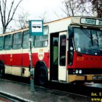 Trzcińska – pętla w Maciejowej