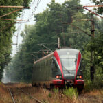 Linia tramwajowa nr 1 – zawsze z Biskupina, nie zawsze na Poświętne