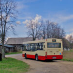 ❤️Licytacja specjalna nr 90 ❤️