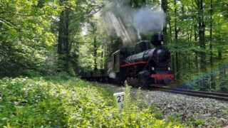 Kp4-3772 | Fundacja Bieszczadzkiej Kolejki Leśnej | Data: 27.05.2023 | Miejsce: wjazd do Balnicy | Autor zdjęcia: Paweł Pieńkowski |