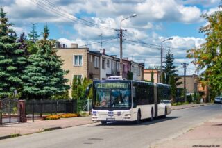 MAN NG313 Lion's City G #555| Miejski Zakład Komunikacji sp. z o.o. w Toruniu| Data: 13 lipca 2017 r.| Miejsce: Toruń, ul. Słoneczna| Autor: Jakub Stawowczyk| Źródło: www.phototrans.pl|