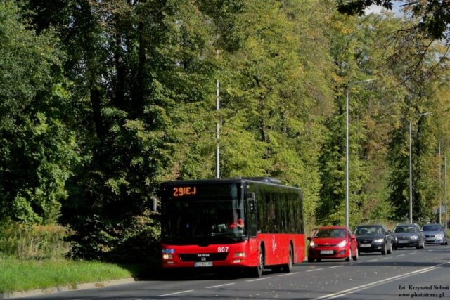 MAN NL263 Lion's City #807| Miejski Zakład Komunikacyjny Sp. z o. o. w Jeleniej Górze| Data: 25 września 2023| Miejsce: Jelenia Góra (Cieplice), ul. Sobieszowska| Autor: Krzysztof Soboń