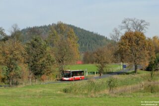 MAN NL293 Lion's City #819| Miejski Zakład Komunikacyjny Sp. z o. o. w Jeleniej Górze| Data: 22 października 2019| Miejsce: szosa Karpniki - Krogulec| Autor: Krzysztof Soboń