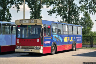 Jelcz M11 #017| Miejski Zakład Komunikacyjny sp. z o.o. w Białej Podlaskiej| Data: 30 lipca 2010 r.| Miejsce: Biała Podlaska, ul. Brzegowa - baza MZK| Autor: Jacek Pudło| Źródło: www.phototrans.pl|