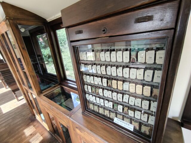 Wnętrze wagonu osobowego | Muzeum Kolei Wąskotorowej w Wenecji | 21 sierpnia 2026 | Muzeum Kolei Wąskotorowej w Wenecji | autor: Paweł Pieńkowski