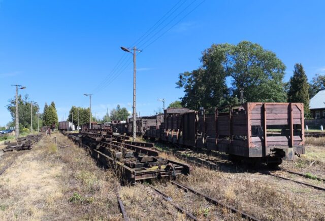 Transportery typu Tw6a | Fundacja Polskich Kolei Wąskotorowych | Data: 30.08.2026 | Miejsce: Rogów Towarowy Wąskotorowy | Autor zdjęcia: Paweł Pieńkowski |