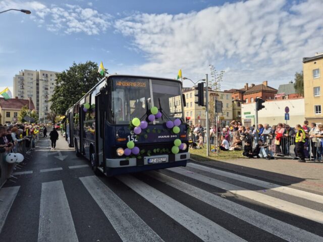 Ikarus 280.49 #152 | Jacek Newelski i Oskar Suchodolski - Zielona Góra | Data: 13 września 2025 r. | Miejsce: Zielona Góra, "Winobranie 2025" | Źródło: archiwum właścicieli pojazdu |